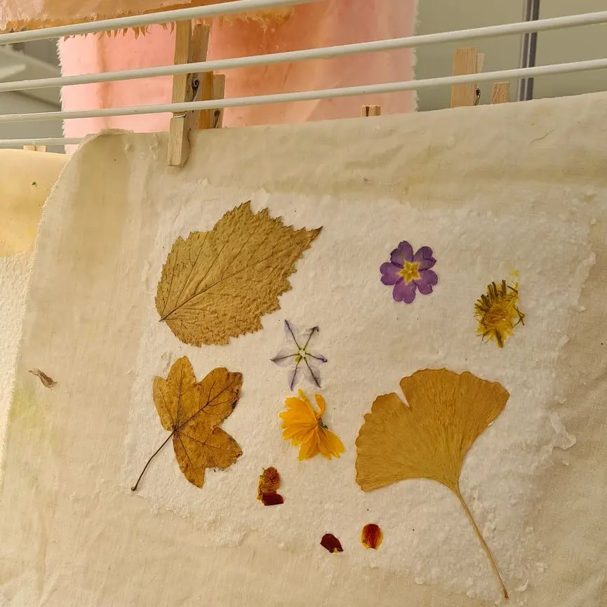 Feuille de papier recyclé avec inclusion végétale en train de sécher. 